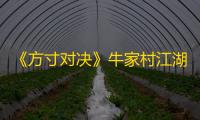 《方寸对决》牛家村江湖事件攻略